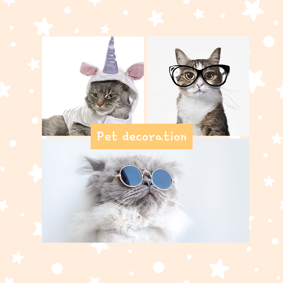 Cute Pet Cat Costume and Decoration Ecommerce Product Image预览效果