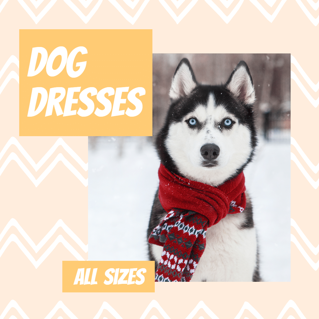 Dog Dresses Display Template Poster Simple Style Ecommerce Product