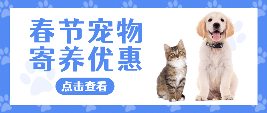 春节宠物寄养公众号首图预览效果