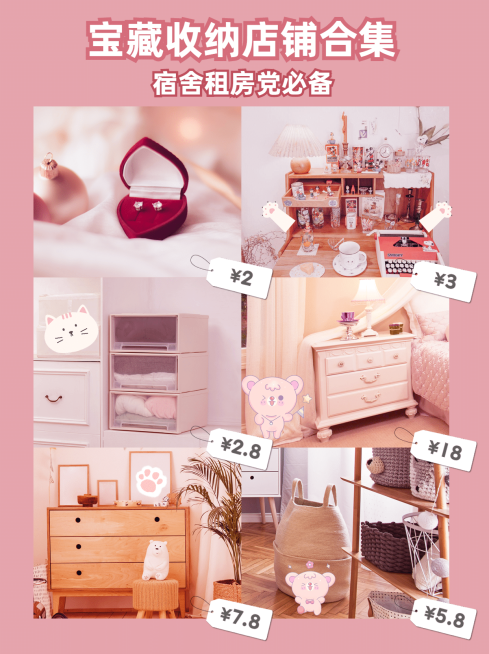 小红书种草宿舍租房收纳产品展示预览效果