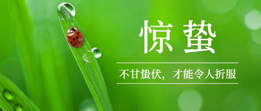 惊蛰节气问候春天实景公众号首图预览效果