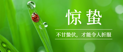 惊蛰节气问候春天实景公众号首图