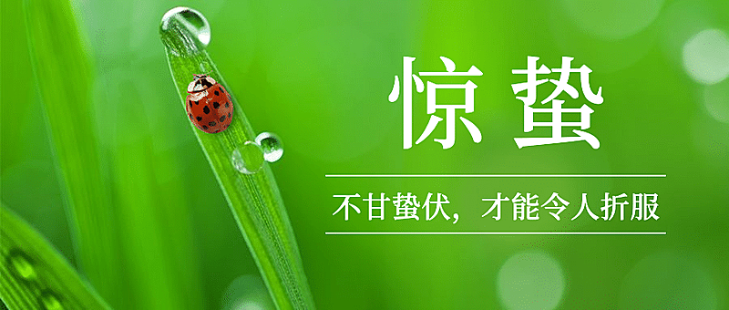 惊蛰节气问候春天实景公众号首图