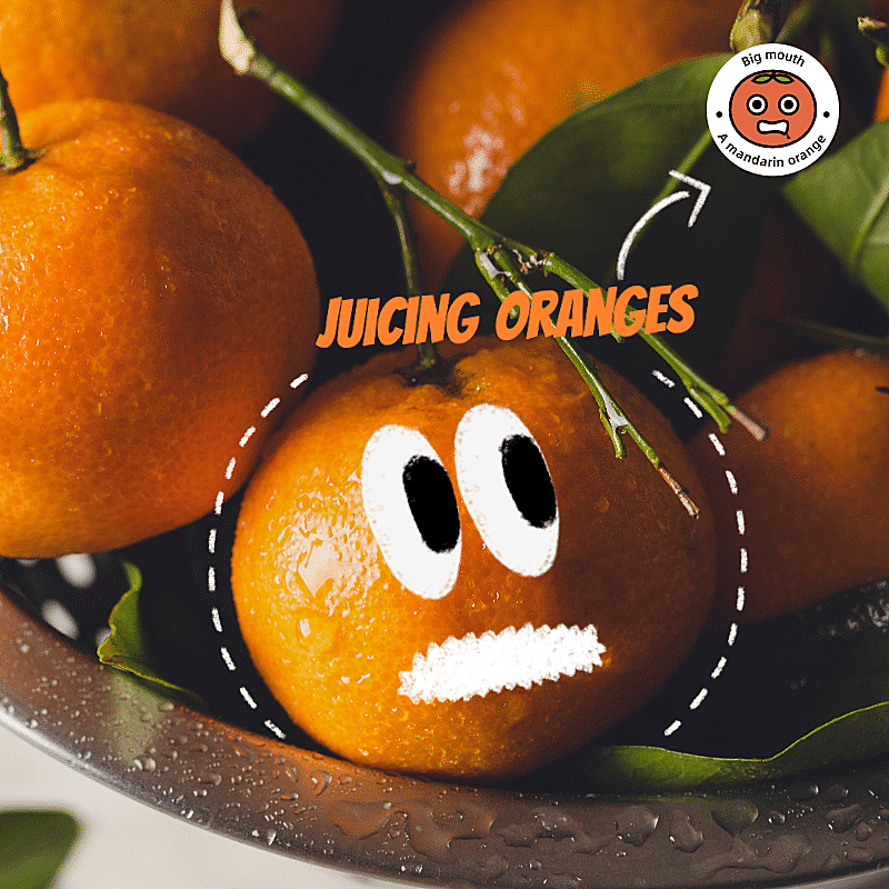 Oranges Fruits Mark Template