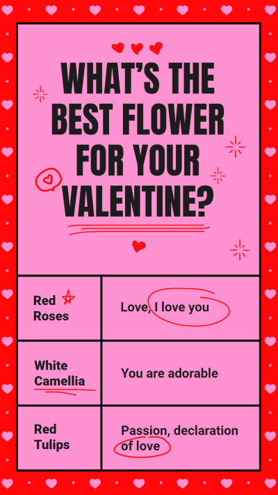 Creative Valentine's Day Flower Recommendation Instagram Story