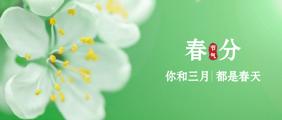 春分节气问候祝福春天公众号首图预览效果