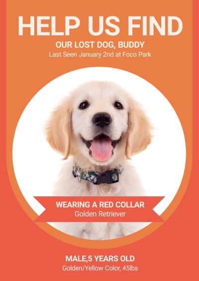 Missing Pet Dog Searching Flyer