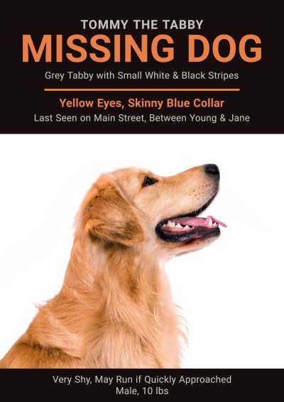 Missing Pets Dogs Search Flyer