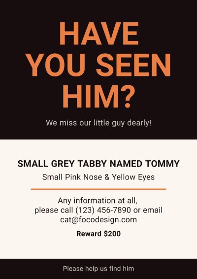 Minimalist Style Missing Pets Search Flyer
