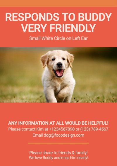Missing Pets Dogs Searching Flyer