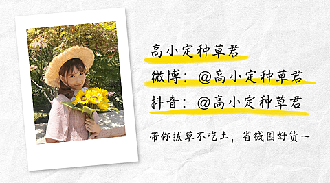 简约日系清新作者介绍作者名片