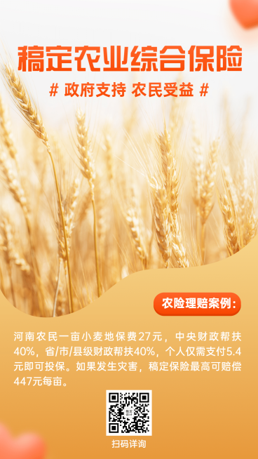 金融保险农险案例分析实景排版海报预览效果