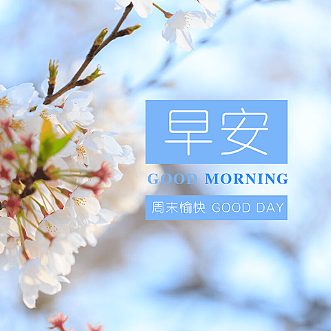 早安问候简约唯美方形海报