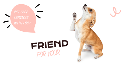 Literary Pet Care Services Introduction Ecommerce Banner