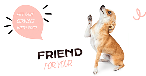 Literary Pet Care Services Introduction Ecommerce Banner