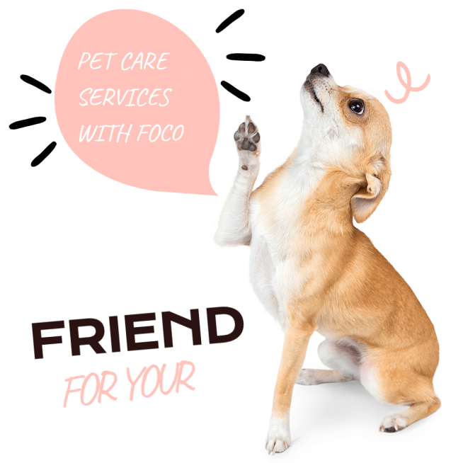 Literary Pet Care Services Introduction Ecommerce Product Image预览效果