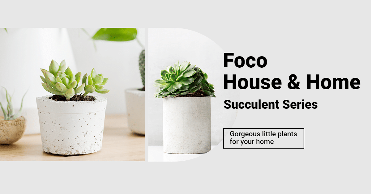 Literary Home Indoor Greent Plants Promo Ecommerce Banner预览效果