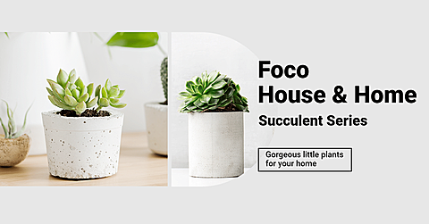 Literary Home Indoor Greent Plants Promo Ecommerce Banner