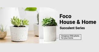 Literary Home Indoor Greent Plants Promo Ecommerce Banner