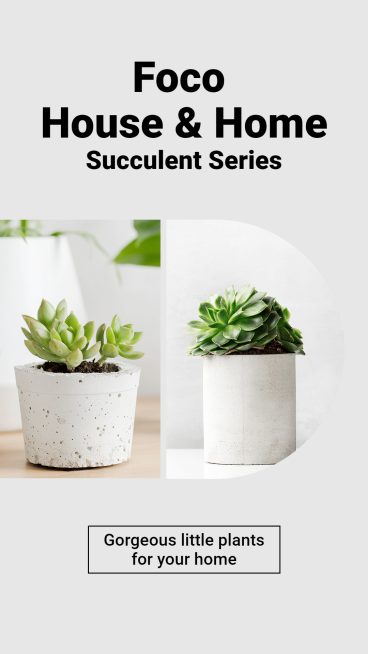Literary Home Indoor Greent Plants Promo Ecommerce Story预览效果