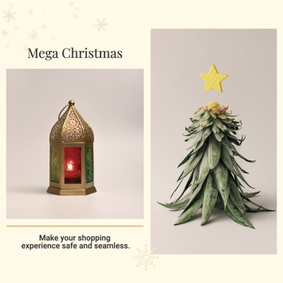 Christmas Festival Gifts Promotion Fashion Simple Style Poster Instagram Post