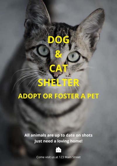 Animals Shelter Propaganda Poster