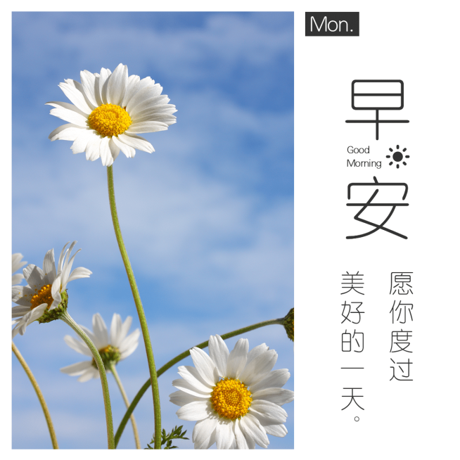 早安问候简约唯美方形海报预览效果