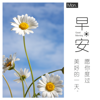 早安问候简约唯美方形海报