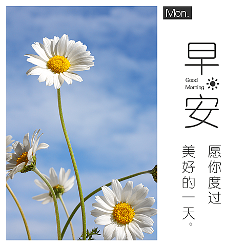 早安问候简约唯美方形海报