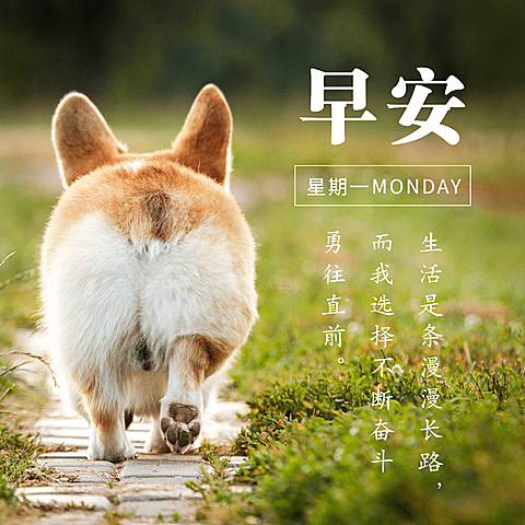 早安问候实景可爱方形海报
