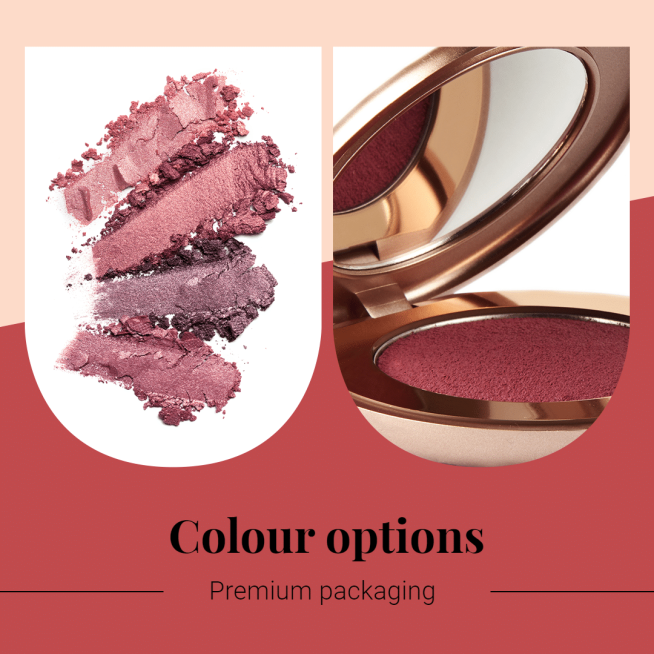 Arch Frame Element Literary Powder Blusher Promotion Ecommerce Product Image预览效果