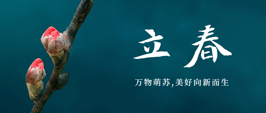 立春问候春景花朵枝芽公众号首图预览效果