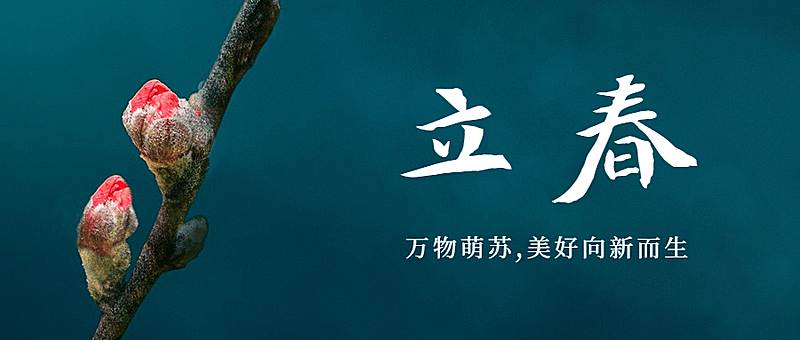 立春问候春景花朵枝芽公众号首图