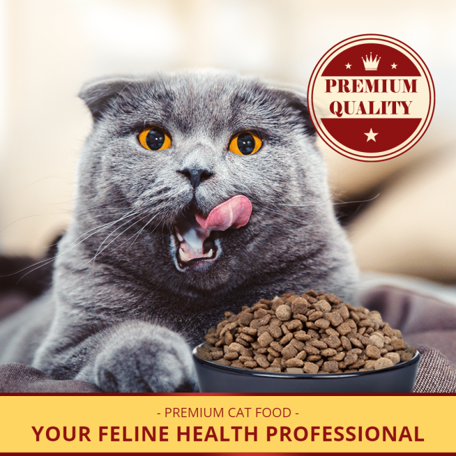 Red Circle Tag Premium Cat Food Promotion Ecommerce Product Image预览效果