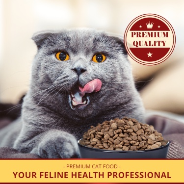 Red Circle Tag Premium Cat Food Promotion Ecommerce Product Image