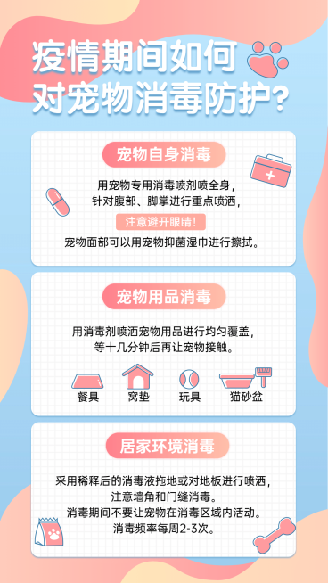 疫情海报宠物消毒防护预览效果
