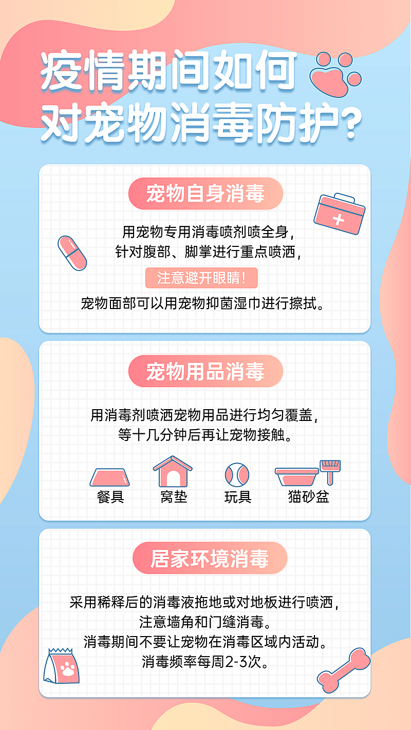 疫情海报宠物消毒防护
