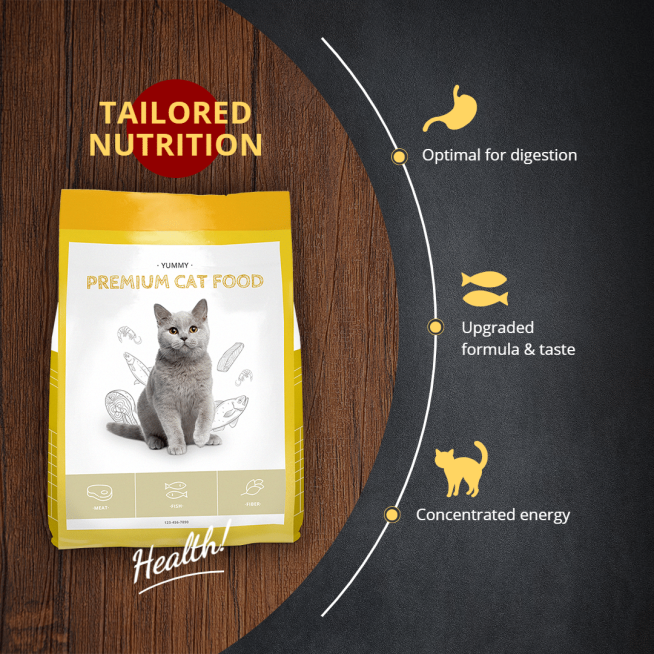 Geometry Typesetting Premium Cat Food Promotion Ecommerce Product Image预览效果
