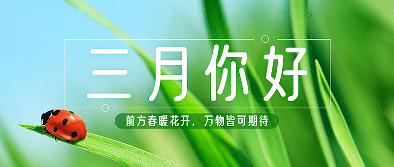 通用3月你好祝福实景公众号首图