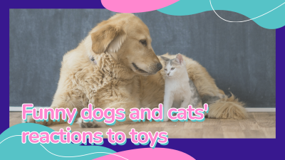 Simple Literary Pets Blogger Interaction Display Business Channel YouTube Thumbnail