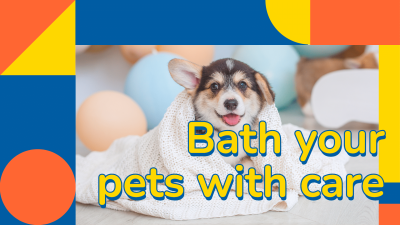 Creative Pets Bath Care YouTube Thumbnail