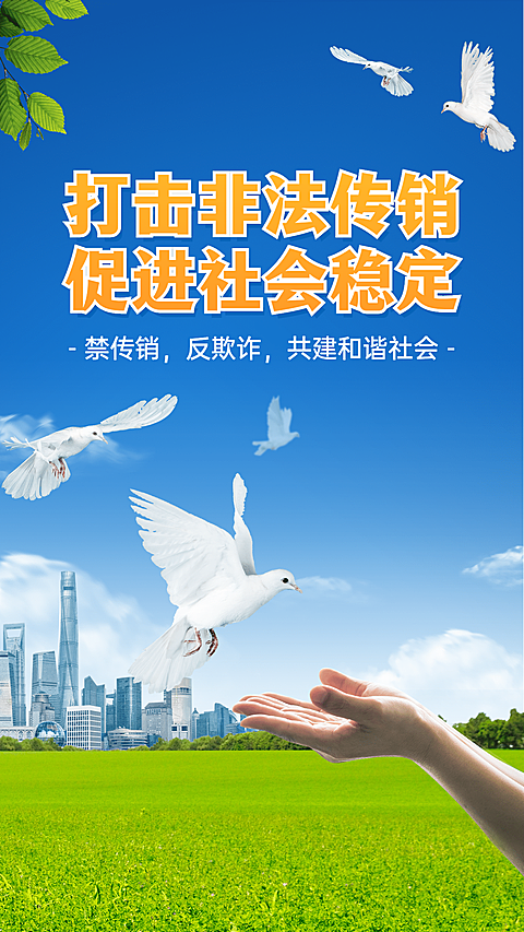 政务民生打击非法传销宣导手机海报