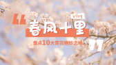 模板缩略图