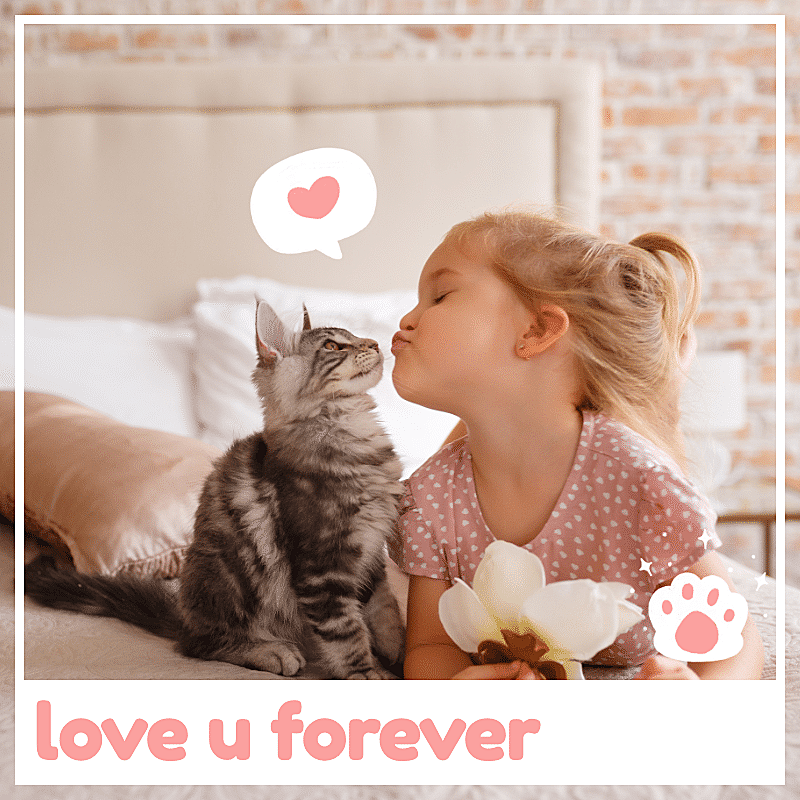 Baby and Pet Mark Template