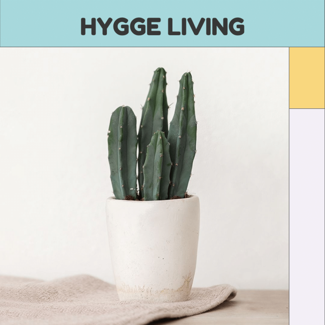 Potted Cactus Simple Home Decor Flower Pot Display Ecommerce Product Image预览效果