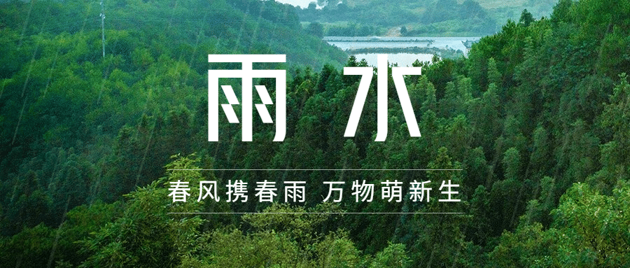 雨水节气万物春天下雨公众号首图