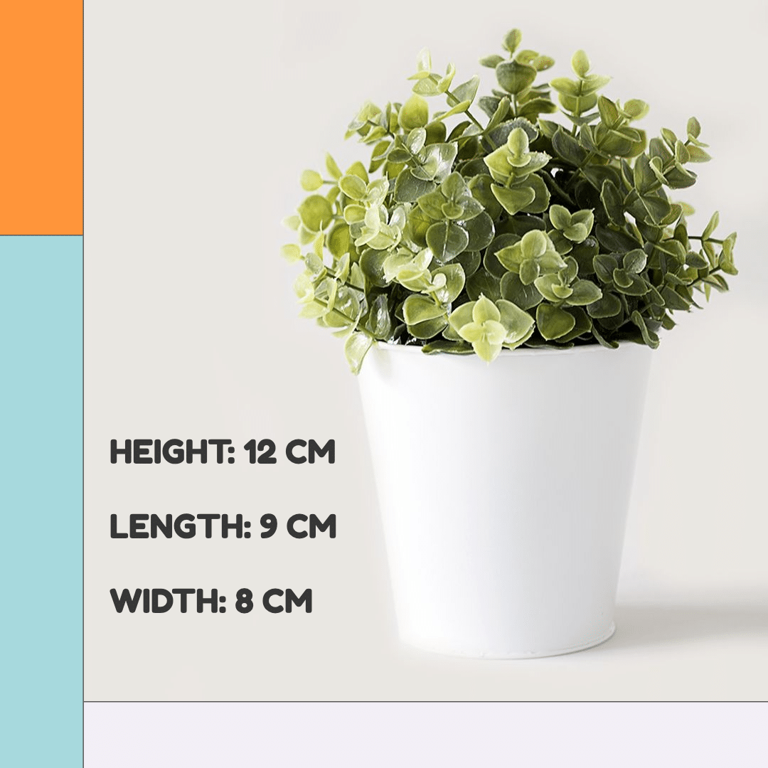 Potted Plants Display Introduction Simple Home Decor Flower Pot Display Ecommerce Product Image