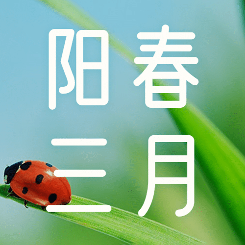 通用3月你好祝福实景公众号次图预览效果