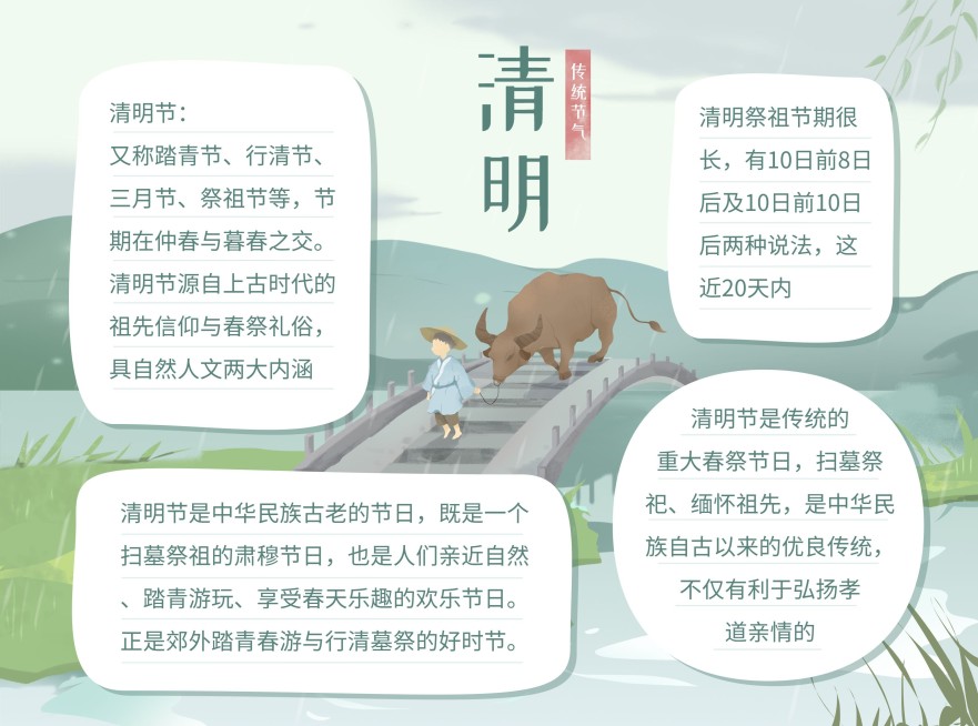 清明-节气新手绘手抄报预览效果