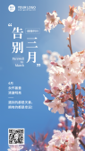 模板缩略图